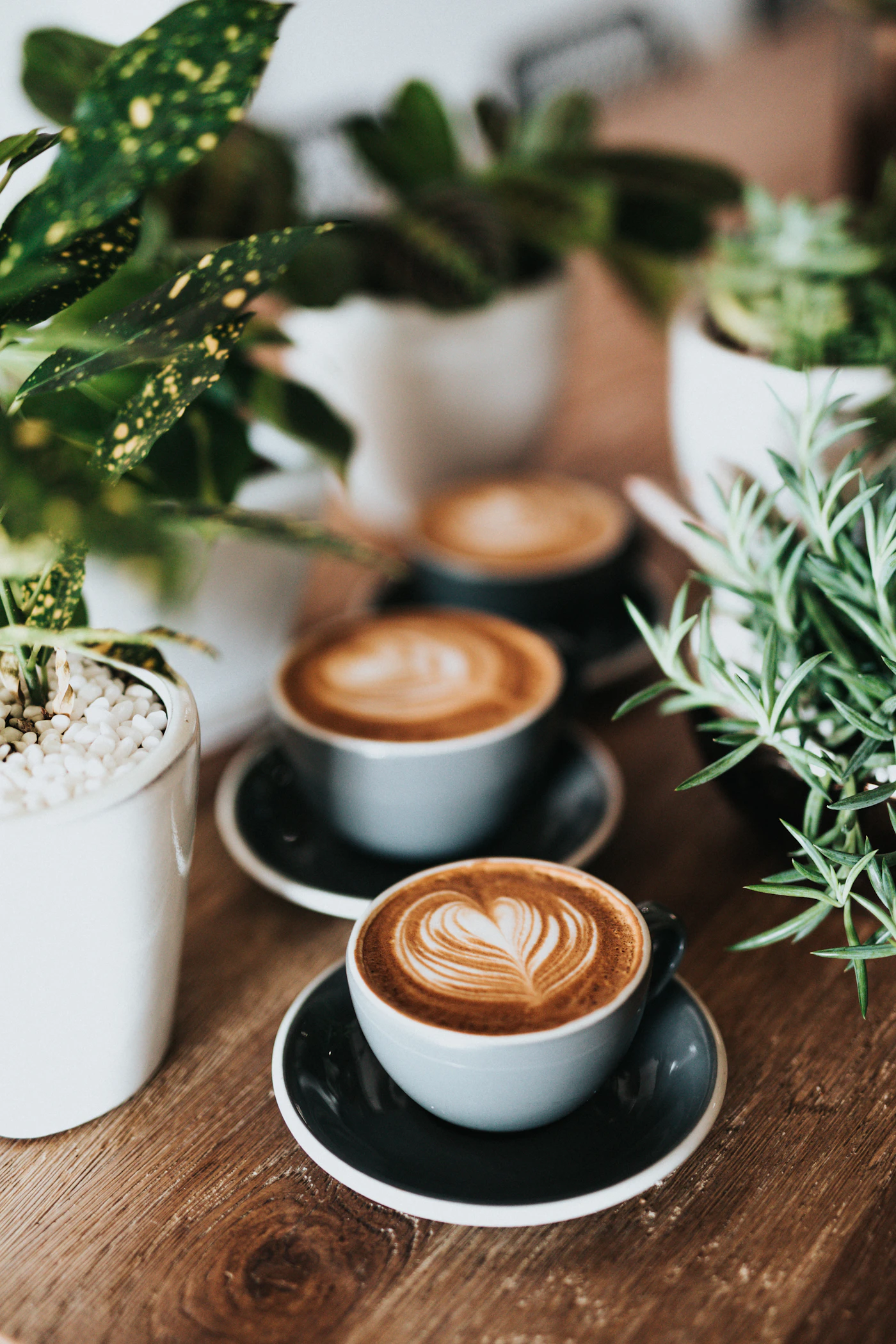 Cafea și preparare pentru ghidul Cum alegi cafeaua în funcție de gust